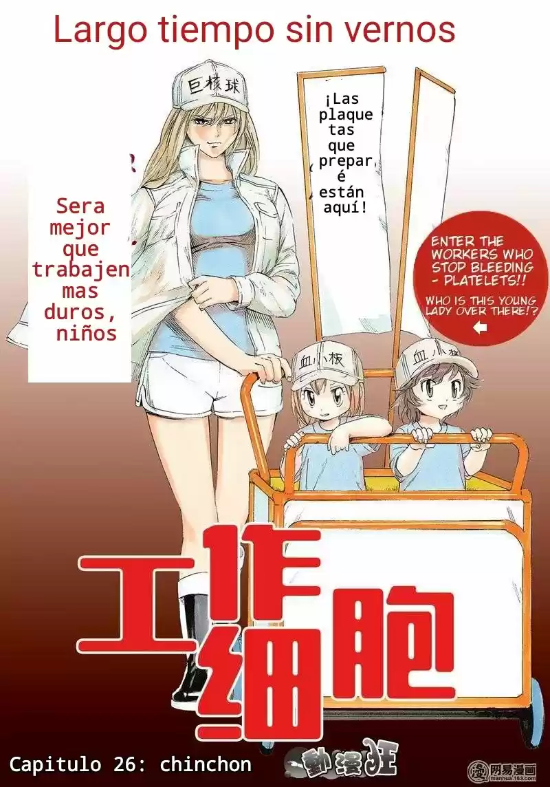 Hataraku Saibou: Chapter 26 - Page 1