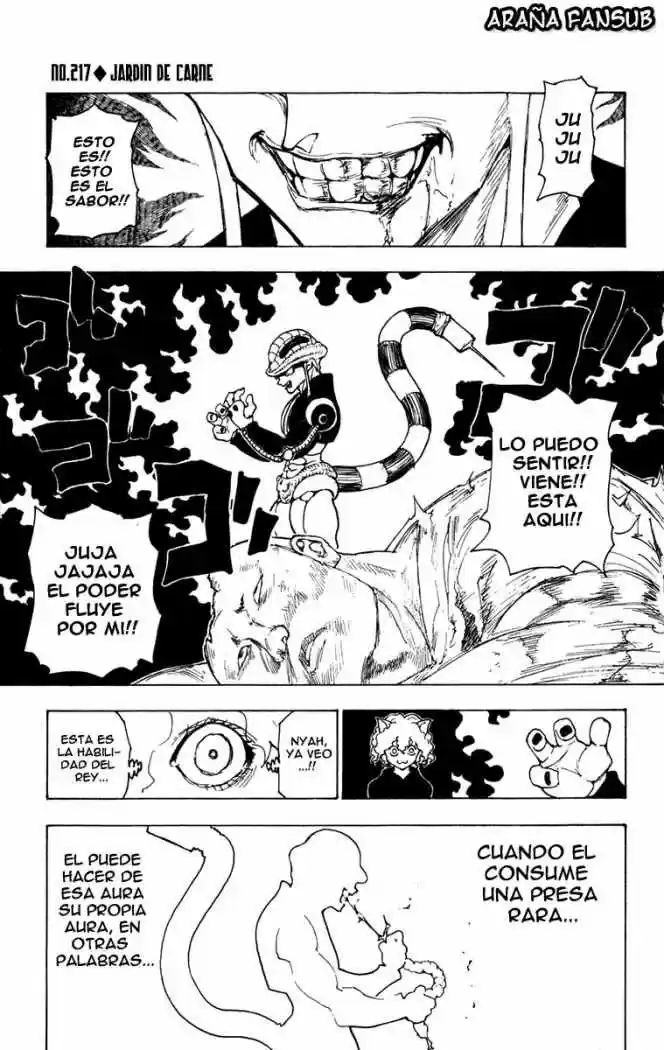 Hunter X Hunter: Chapter 217 - Page 1