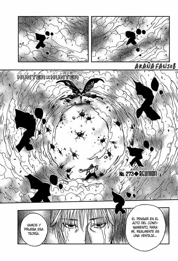 Hunter X Hunter: Chapter 273 - Page 1