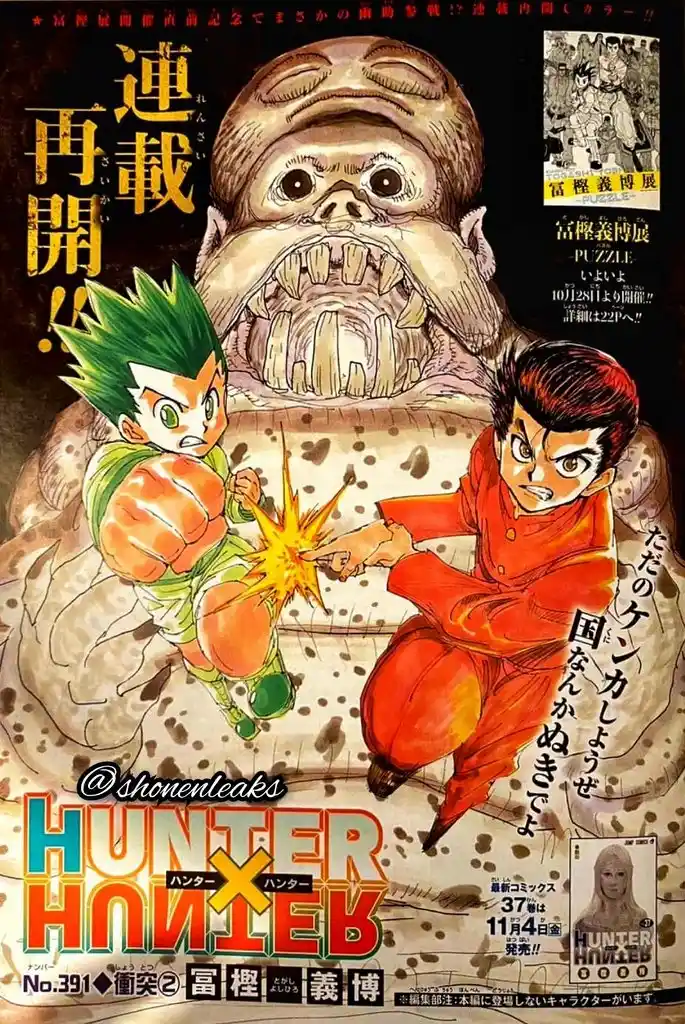 Hunter X Hunter: Chapter 391 - Page 1