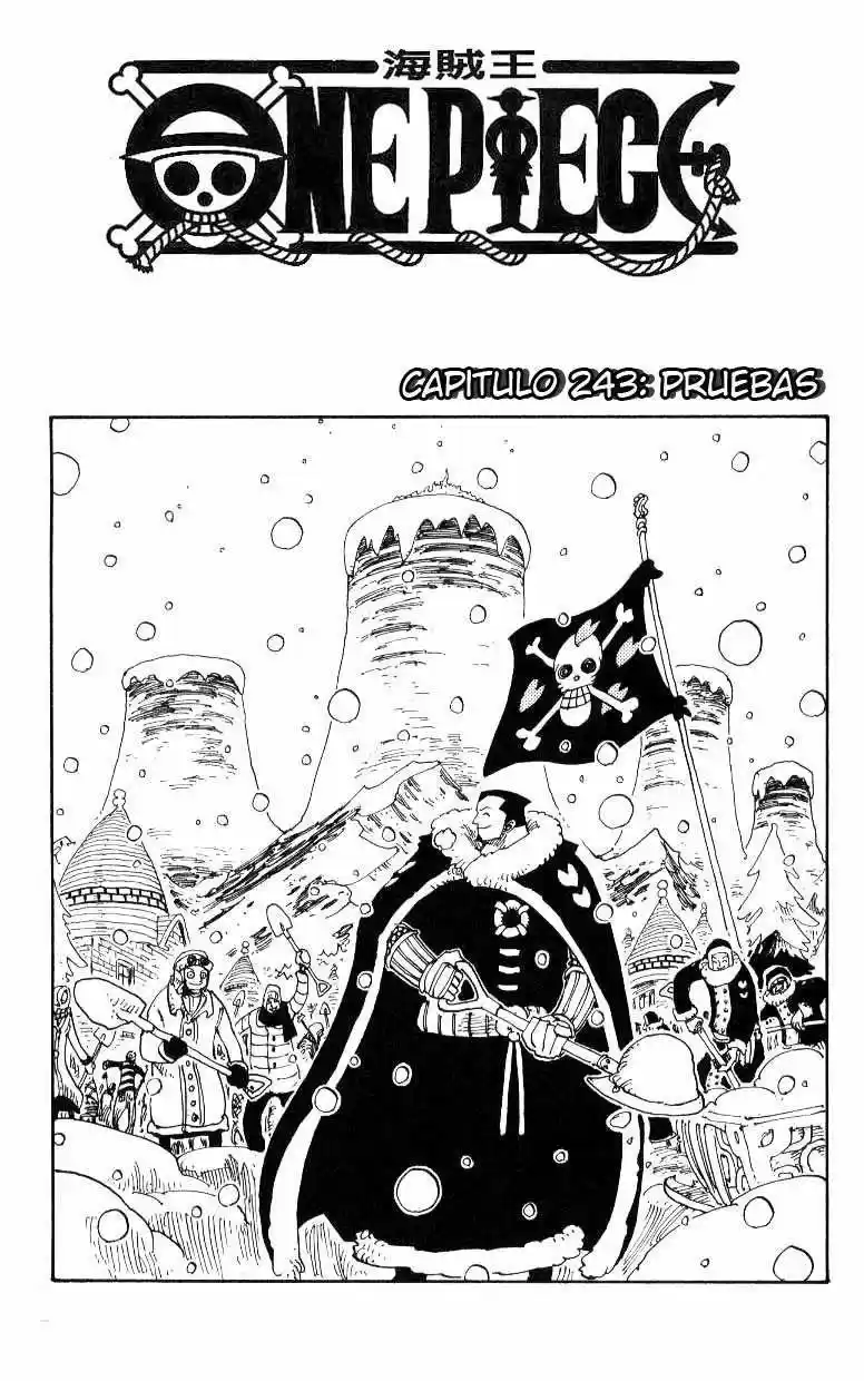 One Piece: Chapter 243 - Page 1