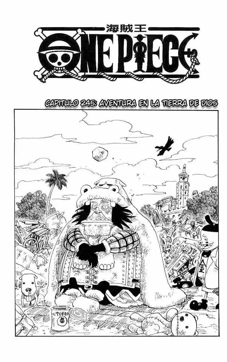 One Piece: Chapter 245 - Page 1