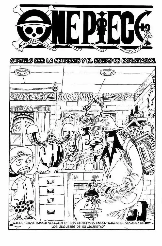 One Piece: Chapter 255 - Page 1