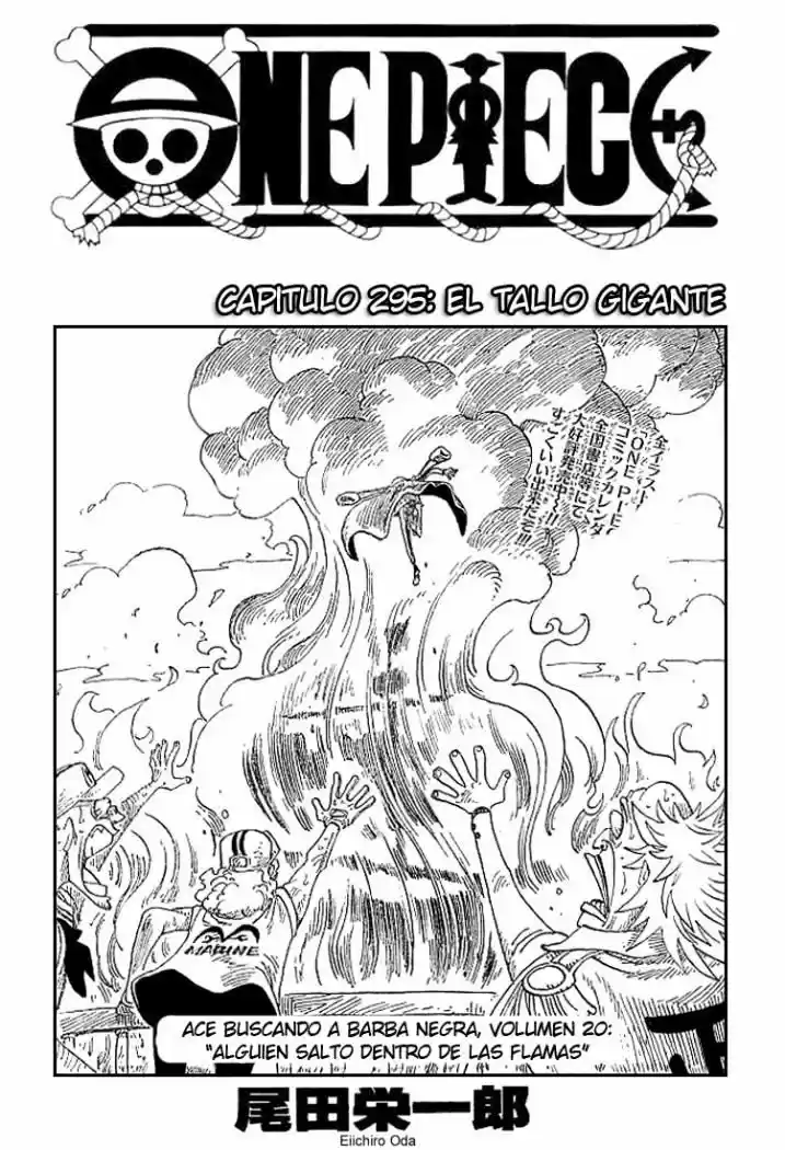 One Piece: Chapter 295 - Page 1